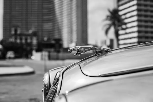 PocketWin Casino Android/iOS aplikacija